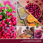 Yankee Candle Christmas Cookie Scented Candle - Genzify Store