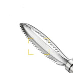 Fish Scale Remover Scraper with Bone Tweezers - Genzify Store