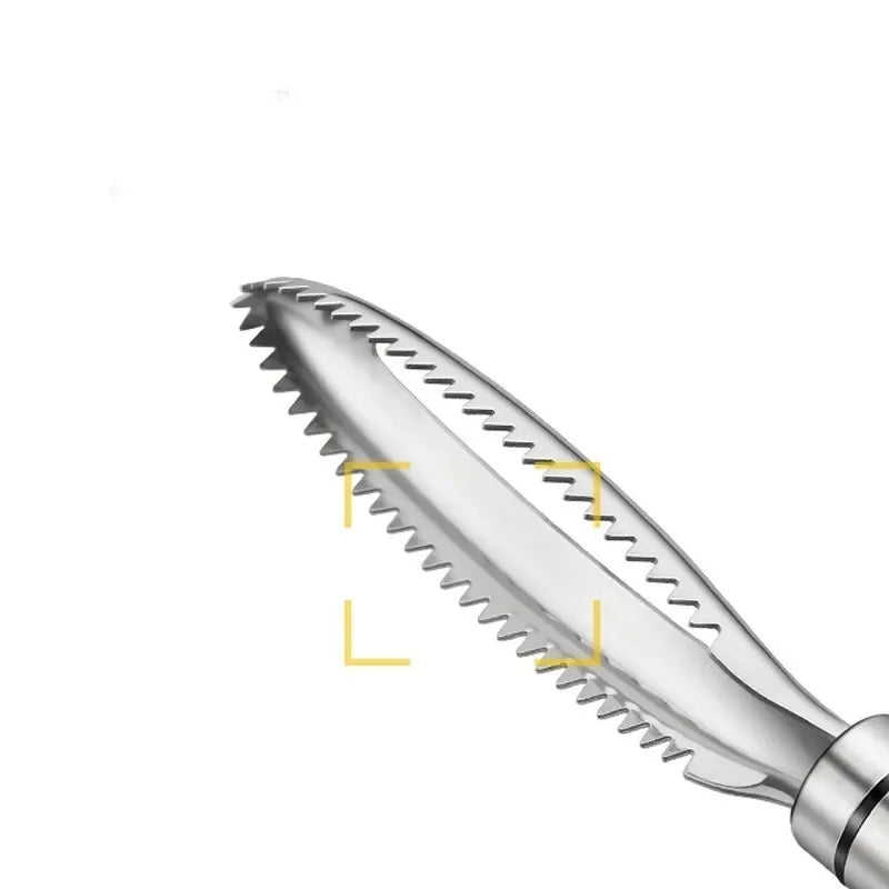 Fish Scale Remover Scraper with Bone Tweezers - Genzify Store